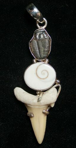 Trilobite & Fossil Shark Tooth Pendant #8510